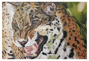 Leopard Smile by Mike Gransbury 2016, wildlife art